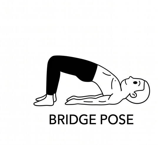 Visual sketch of Bridge Pose (Setu Bandha Sarvangasana)